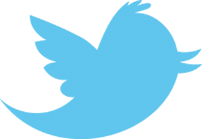 Twitter Logo